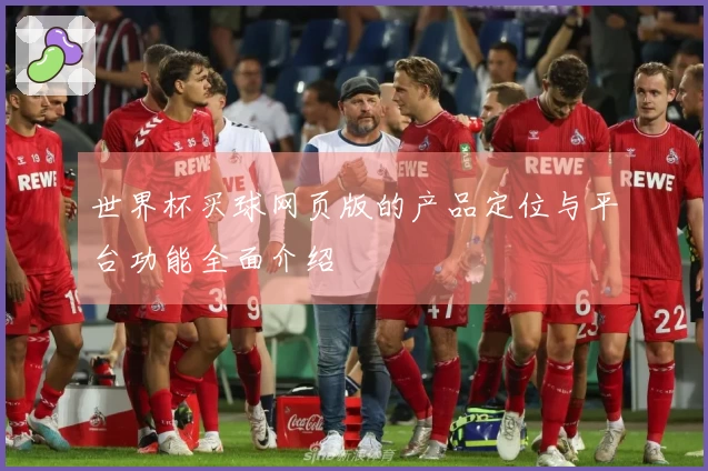 世界杯买球网页版的产品定位与平台功能全面介绍