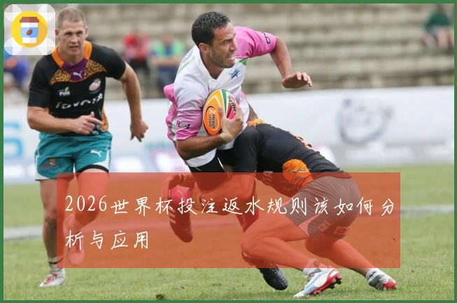 2026世界杯投注返水规则该如何分析与应用