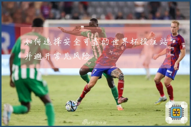 如何选择安全可靠的世界杯投注站并避开常见风险