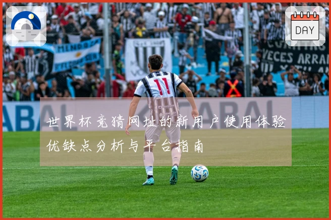 世界杯竞猜网址的新用户使用体验优缺点分析与平台指南