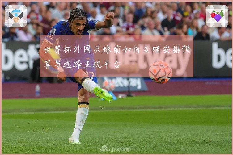 世界杯外围买球前如何合理安排预算与选择正规平台