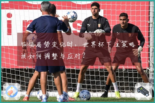 临场局势变化时，世界杯下注策略该如何调整与应对？