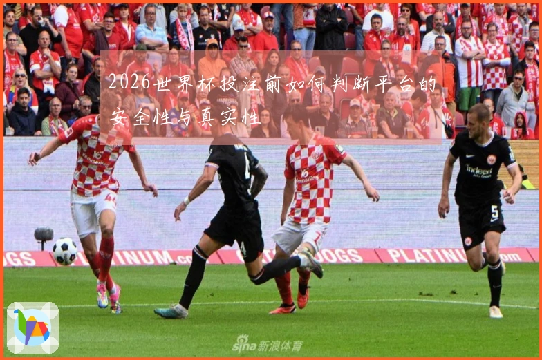 2026世界杯投注前如何判断平台的安全性与真实性