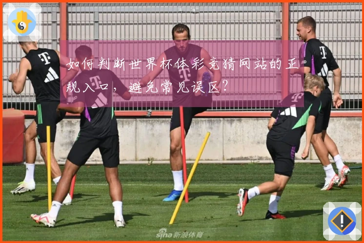 如何判断世界杯体彩竞猜网站的正规入口，避免常见误区？