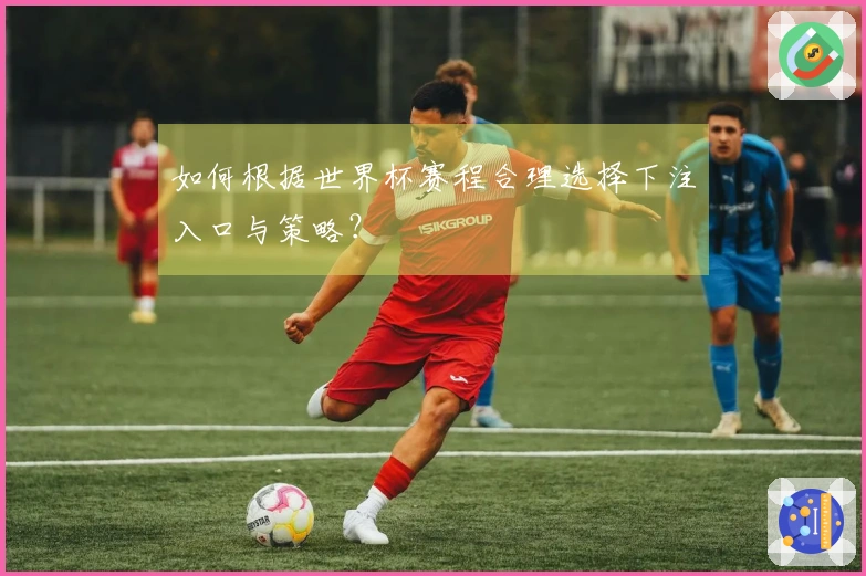 如何根据世界杯赛程合理选择下注入口与策略？