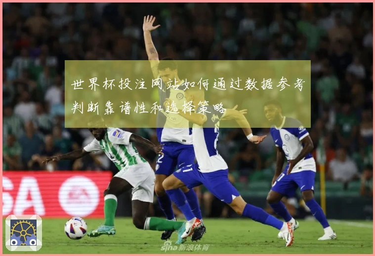 世界杯投注网站如何通过数据参考判断靠谱性和选择策略