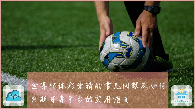 世界杯体彩竞猜的常见问题及如何判断可靠平台的实用指南
