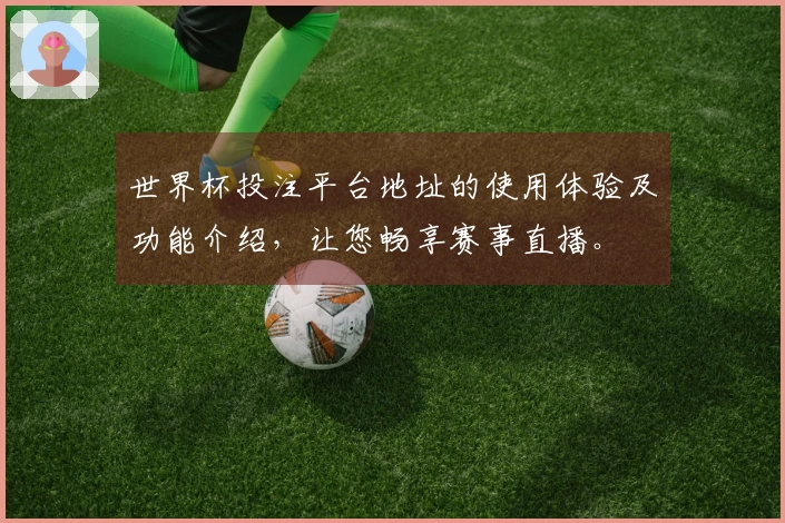 世界杯投注平台地址的使用体验及功能介绍，让您畅享赛事直播。