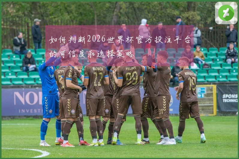 如何判断2026世界杯官方投注平台的可信度和选择策略