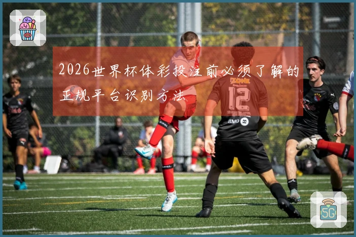 2026世界杯体彩投注前必须了解的正规平台识别方法