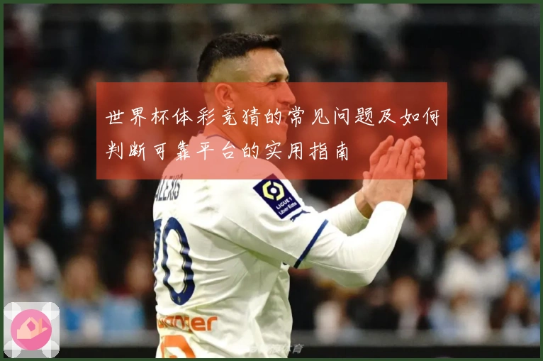 世界杯体彩竞猜的常见问题及如何判断可靠平台的实用指南