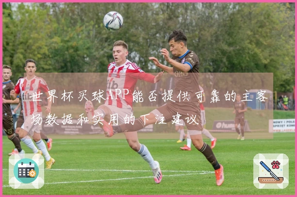 世界杯买球APP能否提供可靠的主客场数据和实用的下注建议
