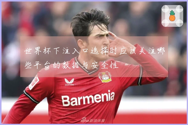 世界杯下注入口选择时应该关注哪些平台的数据与安全性