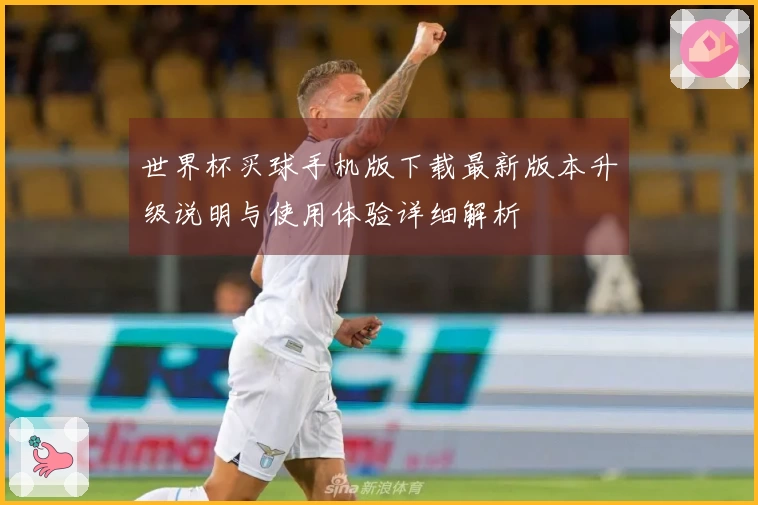 世界杯买球手机版下载最新版本升级说明与使用体验详细解析