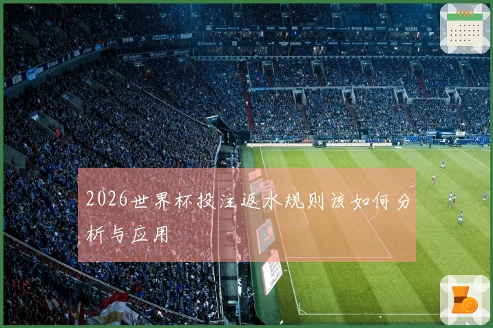 2026世界杯投注返水规则该如何分析与应用
