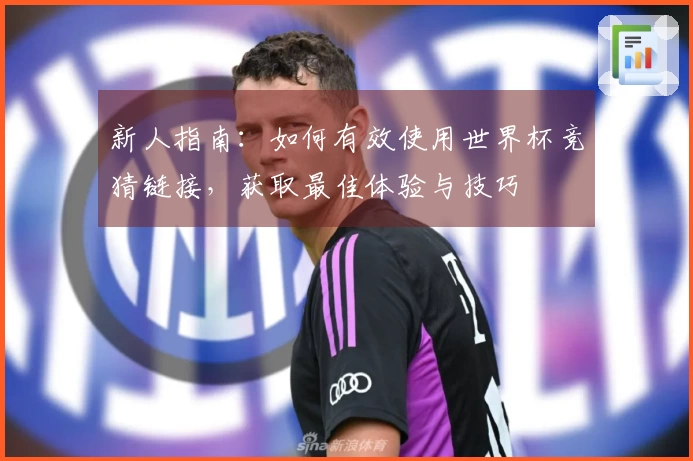 新人指南：如何有效使用世界杯竞猜链接，获取最佳体验与技巧