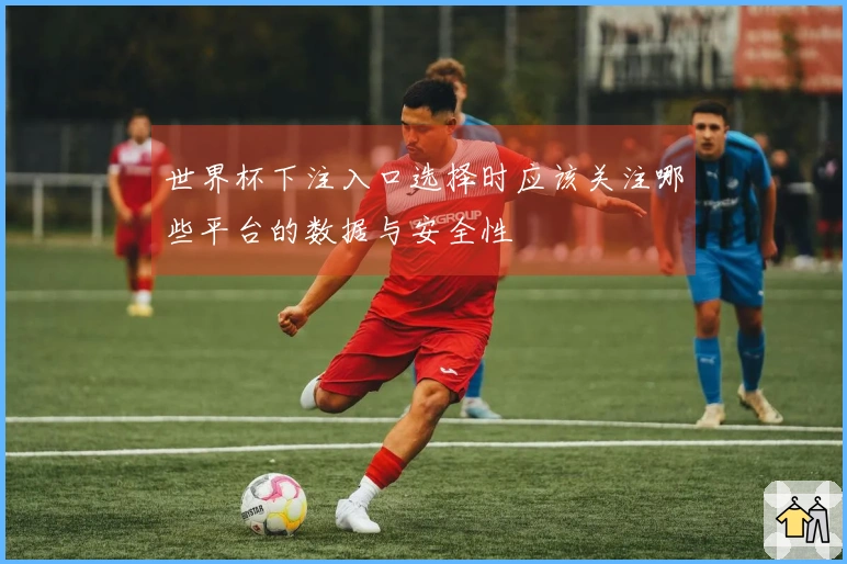 世界杯下注入口选择时应该关注哪些平台的数据与安全性