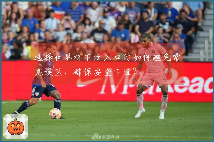 选择世界杯下注入口时如何避免常见误区，确保安全下注？