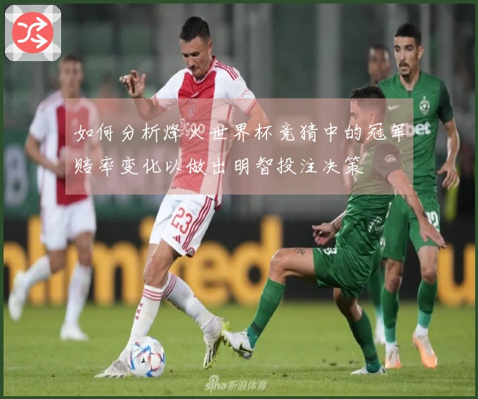 如何分析烽火世界杯竞猜中的冠军赔率变化以做出明智投注决策