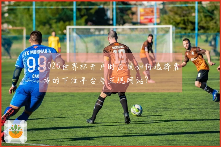 2026世界杯开户时应该如何选择靠谱的下注平台与正规网站？