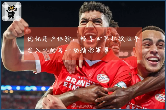 优化用户体验，畅享世界杯投注平台入口的每一场精彩赛事