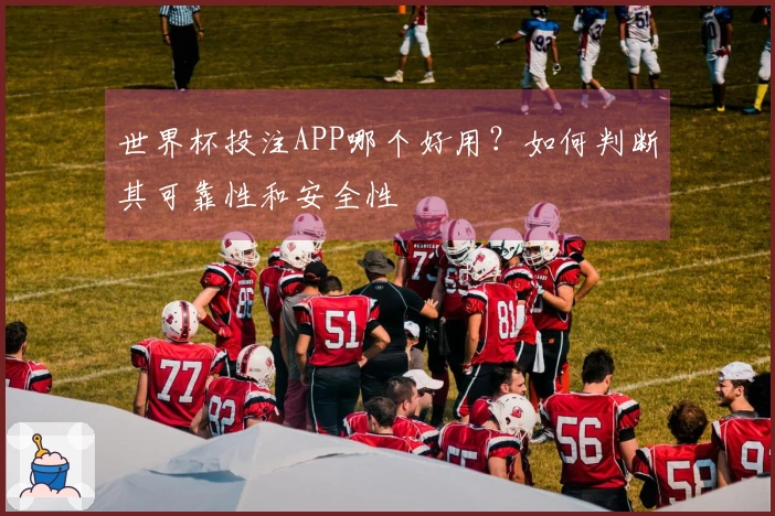 世界杯投注APP哪个好用？如何判断其可靠性和安全性