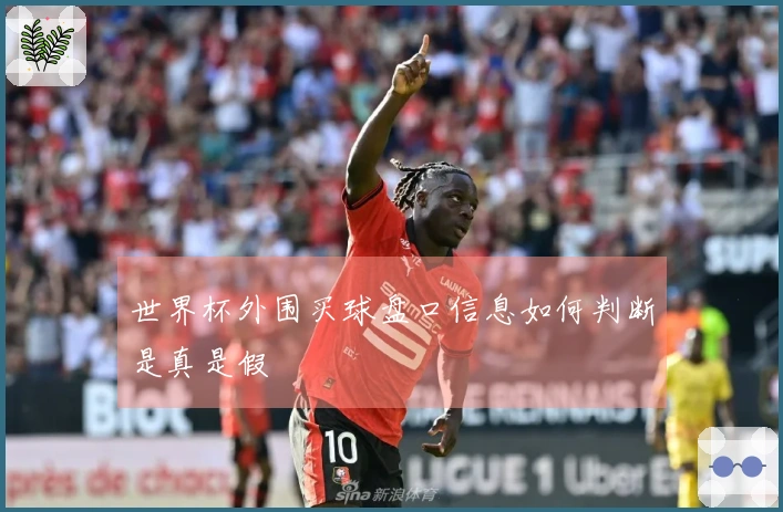 世界杯外围买球盘口信息如何判断是真是假