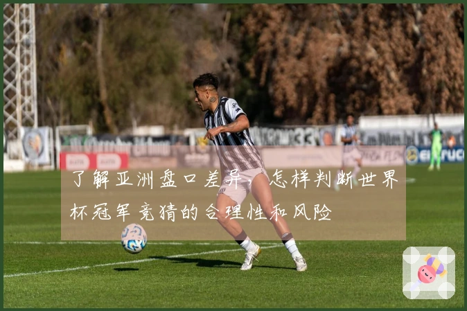 了解亚洲盘口差异，怎样判断世界杯冠军竞猜的合理性和风险