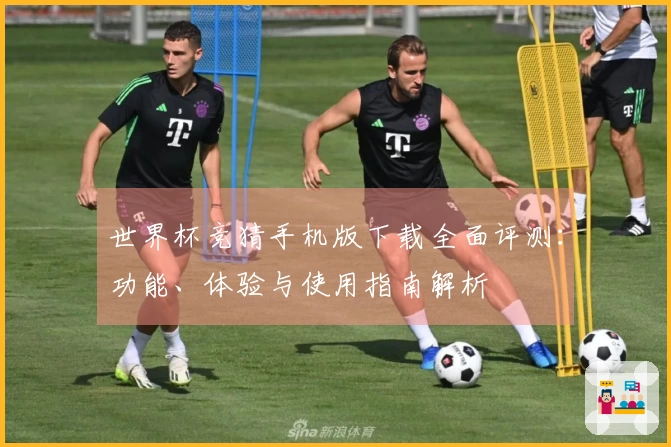 世界杯竞猜手机版下载全面评测：功能、体验与使用指南解析
