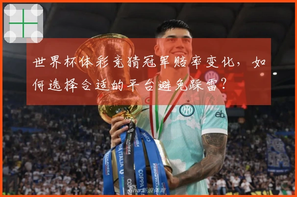 世界杯体彩竞猜冠军赔率变化，如何选择合适的平台避免踩雷？